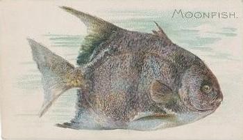 1910 American Tobacco Co. Fish Series (T58) - Sovereign Cigarettes Factory 25 #NNO Moonfish Front
