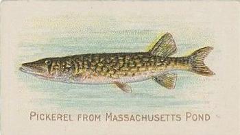 1910 American Tobacco Co. Fish Series (T58) - Sovereign Cigarettes Factory 25 #NNO Pickerel from Massachusetts Pond Front
