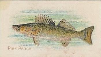 1910 American Tobacco Co. Fish Series (T58) - Sovereign Cigarettes Factory 25 #NNO Pike Perch Front