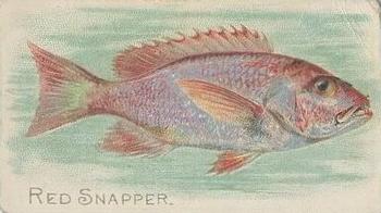 1910 American Tobacco Co. Fish Series (T58) - Sovereign Cigarettes Factory 25 #NNO Red Snapper Front