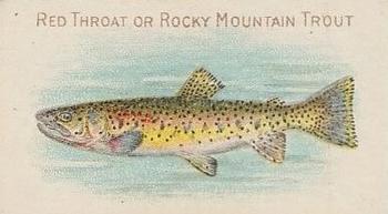 1910 American Tobacco Co. Fish Series (T58) - Sovereign Cigarettes Factory 25 #NNO Red Throat or Rocky Mountain Trout Front