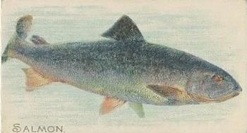 1910 American Tobacco Co. Fish Series (T58) - Sovereign Cigarettes Factory 25 #NNO Salmon Front