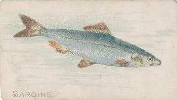 1910 American Tobacco Co. Fish Series (T58) - Sovereign Cigarettes Factory 25 #NNO Sardine Front