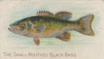 1910 American Tobacco Co. Fish Series (T58) - Sovereign Cigarettes Factory 25 #NNO Small Mouthed Black Bass Front
