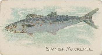 1910 American Tobacco Co. Fish Series (T58) - Sovereign Cigarettes Factory 25 #NNO Spanish Mackerel Front