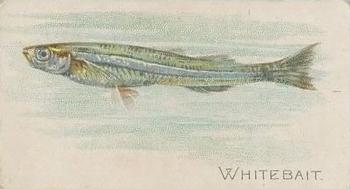 1910 American Tobacco Co. Fish Series (T58) - Sovereign Cigarettes Factory 25 #NNO Whitebait Front