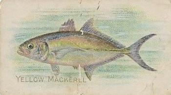 1910 American Tobacco Co. Fish Series (T58) - Sovereign Cigarettes Factory 25 #NNO Yellow Mackerel Front