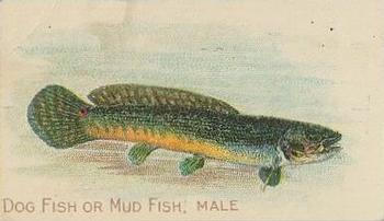 1910 American Tobacco Co. Fish Series (T58) - Piedmont Cigarettes Factory 25 #NNO Dog Fish or Mud Fish Male Front