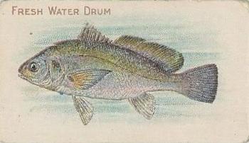 1910 American Tobacco Co. Fish Series (T58) - Piedmont Cigarettes Factory 25 #NNO Freshwater Drum Front