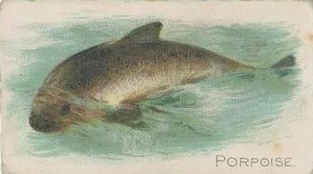 1910 American Tobacco Co. Fish Series (T58) - Piedmont Cigarettes Factory 25 #NNO Porpoise Front