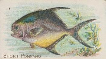 1910 American Tobacco Co. Fish Series (T58) - Piedmont Cigarettes Factory 25 #NNO Short Pompano Front