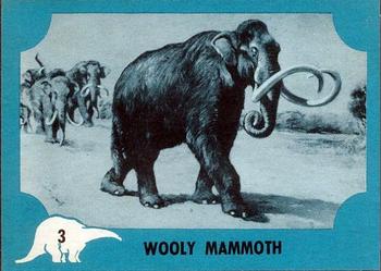 1961 Nu-Cards Dinosaur Series #3 Wooly Mammoth Front