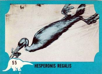1961 Nu-Cards Dinosaur Series #55 Hesperonis Regalis Front