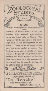 1929 De Reszke Zoological Studies #6 Giraffe Back