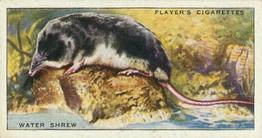 1939 Player's Animals of the Countryside #4 Eurasian Water Shrew Front