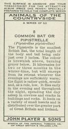 1939 Player's Animals of the Countryside #8 Common Pipistrelle Back