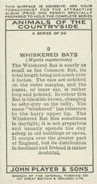 1939 Player's Animals of the Countryside #9 Whiskered Bats Back