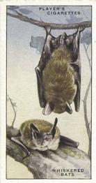 1939 Player's Animals of the Countryside #9 Whiskered Bats Front