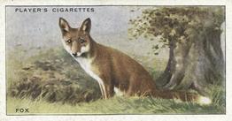 1939 Player's Animals of the Countryside #11 Fox Front
