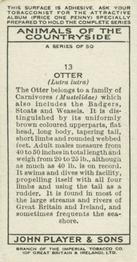 1939 Player's Animals of the Countryside #13 Otter Back