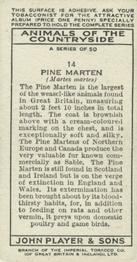 1939 Player's Animals of the Countryside #14 Pine Marten Back