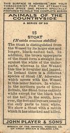 1939 Player's Animals of the Countryside #15 Stoat Back