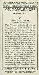 1939 Player's Animals of the Countryside #20 Common Seal Back