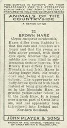 1939 Player's Animals of the Countryside #22 Brown Hare Back