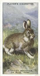 1939 Player's Animals of the Countryside #23 Scottish Mountain, or Blue, Hare Front