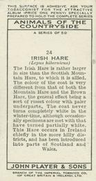 1939 Player's Animals of the Countryside #24 Irish Hare Back