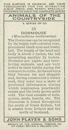 1939 Player's Animals of the Countryside #25 Dormouse Back