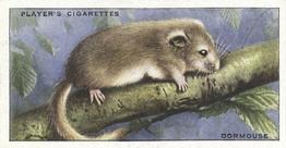 1939 Player's Animals of the Countryside #25 Dormouse Front