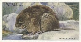 1939 Player's Animals of the Countryside #26 Water Vole Front