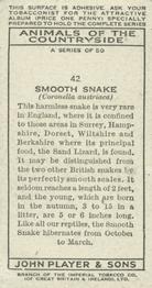 1939 Player's Animals of the Countryside #42 Smooth Snake Back