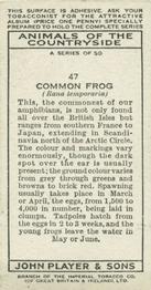 1939 Player's Animals of the Countryside #47 Common Frog Back