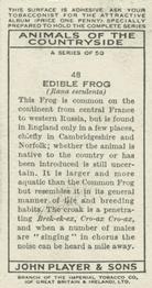 1939 Player's Animals of the Countryside #48 Edible Frog Back