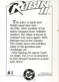 1991 Robin II #1 Robin Back