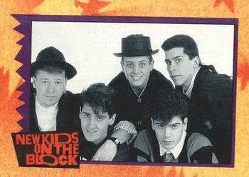 1989 O-Pee-Chee New Kids on the Block #13 NKOTB Quiz! Question #3 Front