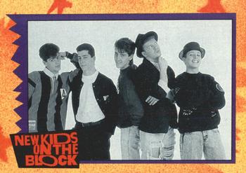 1989 O-Pee-Chee New Kids on the Block #15 NKOTB Quiz! Question #5 Front
