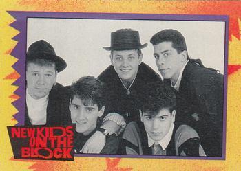 1989 O-Pee-Chee New Kids on the Block #13 NKOTB Quiz! Question #3 Front