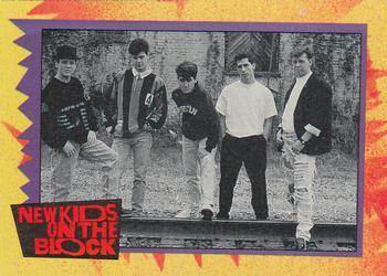 1989 O-Pee-Chee New Kids on the Block #14 NKOTB Quiz! Question #4 Front