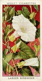 1936 Wills's Wild Flowers #1 Larger Bindweed Front
