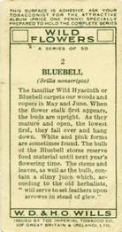 1936 Wills's Wild Flowers #2 Bluebell Back