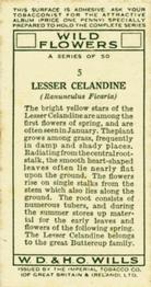 1936 Wills's Wild Flowers #5 Lesser Celandine Back