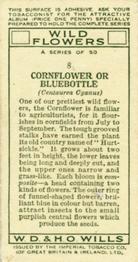 1936 Wills's Wild Flowers #8 Cornflower or Bluebottle Back