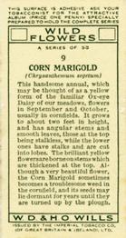 1936 Wills's Wild Flowers #9 Corn Marigold Back