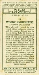 1936 Wills's Wild Flowers #24 Woody Nightshade Back