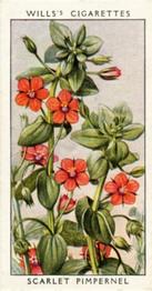 1936 Wills's Wild Flowers #28 Scarlet Pimpernel Front