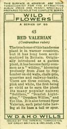 1936 Wills's Wild Flowers #45 Red Valerian Back