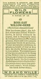 1936 Wills's Wild Flowers #49 Rose-Bay Willow-Herb Back